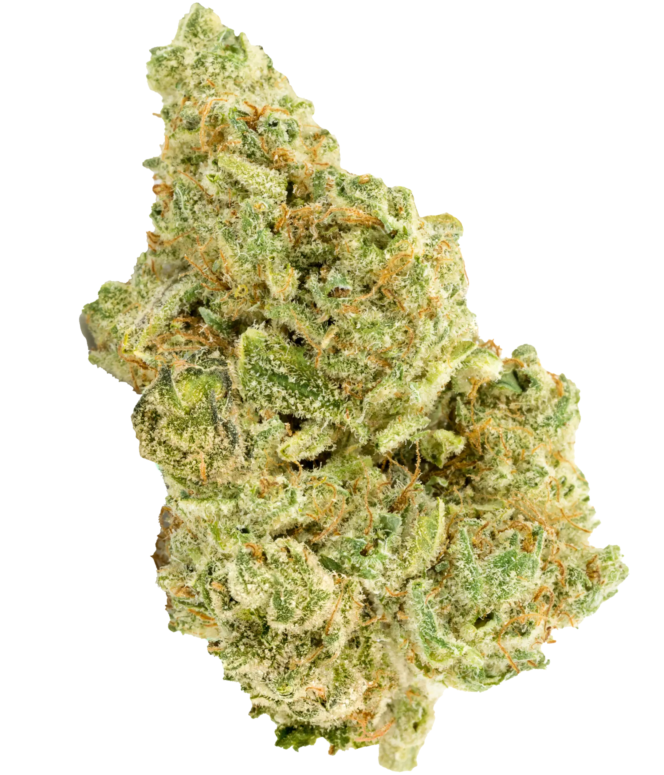 Versus Cannabis | Bubba Kush Full Spectrum 510 Vape Cartridge 1.2 g